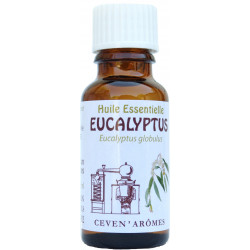 Eucalyptus 20ml Huile essentielle