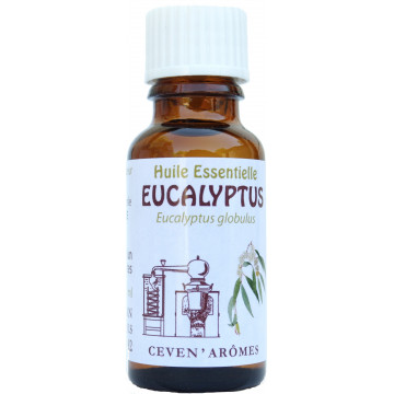 Eucalyptus 20ml Huile essentielle